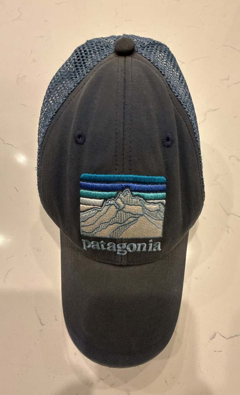 Patagonia Line Logo Ridge LoPro Trucker Cap Blue Snapback